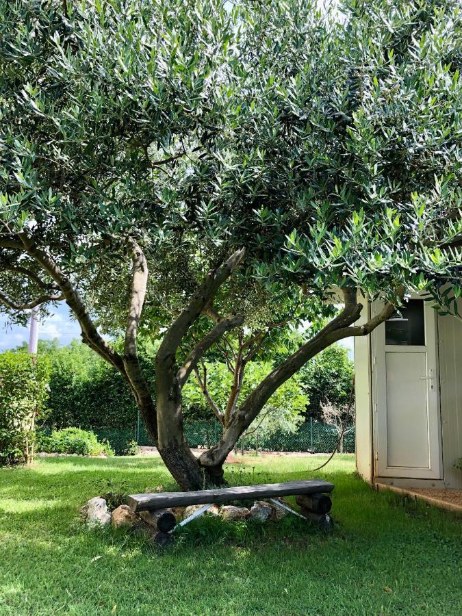 Goldfinch Estate Lägenhet Banjole Exteriör bild